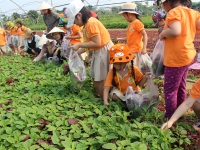 Hình ảnh bé tham quan_16