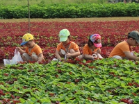 Hình ảnh bé tham quan_19