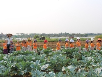 Hình ảnh bé tham quan_20